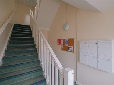 Picture 13